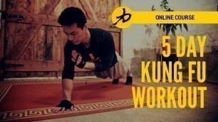 'Shaolin Kung Fu - 5 Day Workout Programme - Intro'