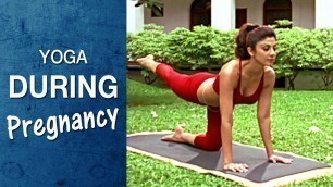 'Yoga for Pregnant women - Vyaghrasana (Hindi) - Shilpa Yoga'