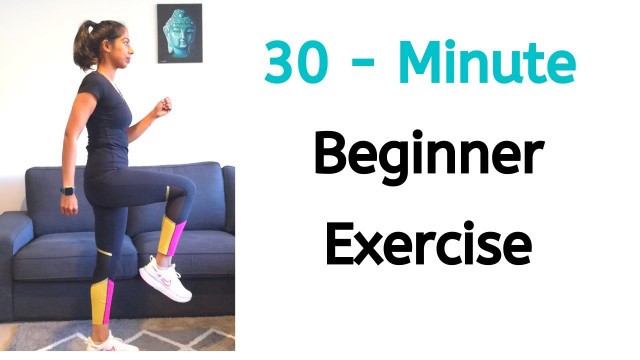 '30 Minute Beginner easy exercise ||  Indoor Brisk walking || Malayalam'