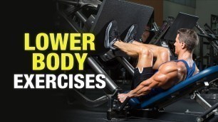 'Lower Body Exercises - Anil Yadav - Fitness Funda'