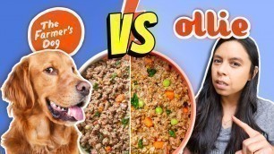 'Brutally Honest Dog Food Review 