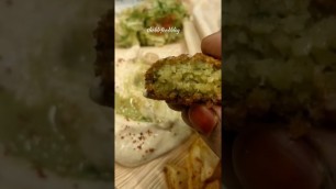 'Habibi Falafel | The Authentic Middle Eastern Veg Food | Food Review'