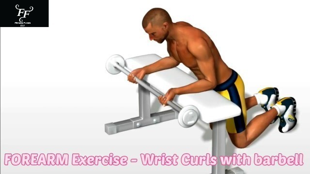 'FOREARM Exercise...How to do...Wrist Curls with barbell...? #Fitness funda RJ13'