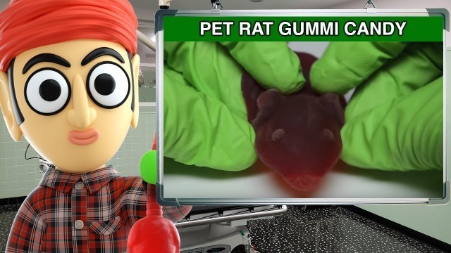 'Jelly Belly Pet Rat Gummi Candy - Runforthecube Candy Review'