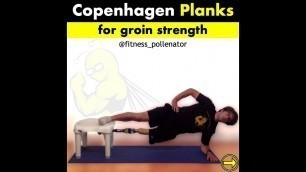 'Fitness Pollenator – Copenhagen Adductor Planks'