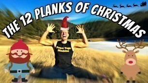 'THE 12 PLANKS OF CHRISTMAS WORKOUT - Sean Vigue Fitness'