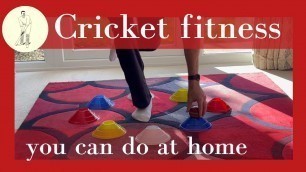 'Cricket fitness exercises you can do at home : Part 5'