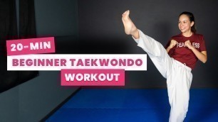 '20-min BEGINNER TAEKWONDO Workout (At Home & No Equipment)'