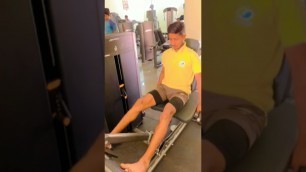 'leg press exercise 