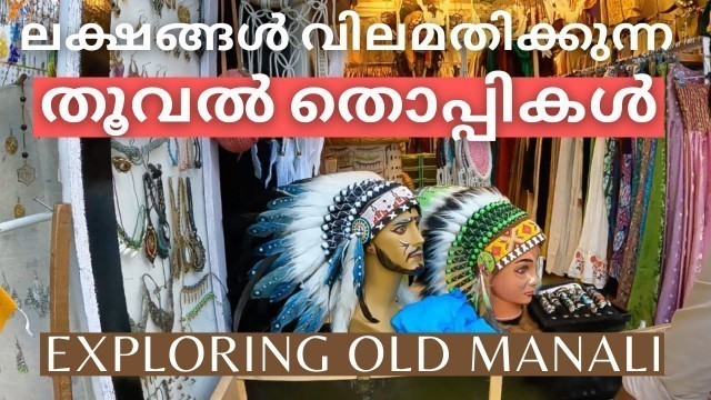 'ലക്ഷങ്ങൾ വിലമതിക്കുന്നതൂവൽ തൊപ്പികൾ | Old Manali Hand Crafts | Travel With Fitness Couple'