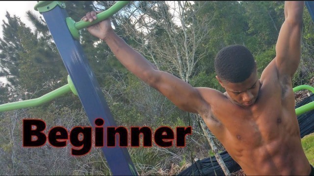 'Beginner Home Calisthenics Pull Workout Routine ( Back Biceps)'