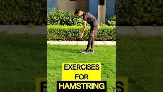 'Exercises for Hamstring || Cricket Workout || Train Hamstring Muscle || Lockdown Exercise at home'