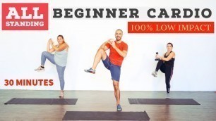 'Low impact, beginner, fat burning, home cardio workout. ALL standing!'