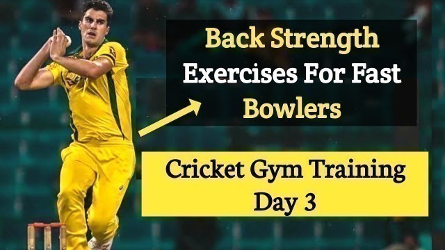 'Back Strength Exercises For Fast Bowlers | cricket gym training day 3'