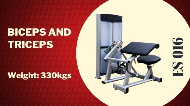 'Bicep/ Triceps Day with ES 016 Commercial Dual Station | Energie Fitness'