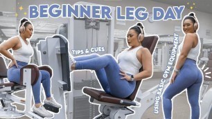 'BEGINNER LEG DAY | Using Basic Gym Equipment'