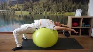 'esercizi di mobilità per la schiena con la fit ball'