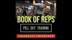 '#Gym #reps #Planks Book of Reps: Pull day training'
