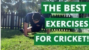 'The Best Cricket Related Fitness Exercises That You Can do At Home!'