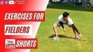 'Exercises for CRICKET FIELDERS! #shorts #youtubeshorts'
