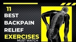 '11 Best Back Pain Relief Exercises For Cricketers | Back Pain Exercises |'