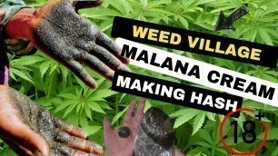 'Weed village | Malana Cream | Making hash| Himacha| Kasol Travel With Fitness Couple'