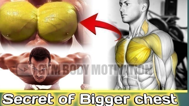 'Best chest workout|Chest workout for beginners 2022 | by Ajay Fitness 05| #chestworkout #viralvideo'