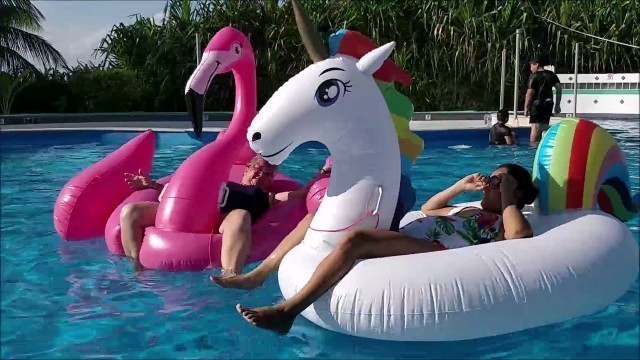 'Flamingo Versus Unicorn Eileen\'s Super 60 Pool Party San Pedro Fitness Club'