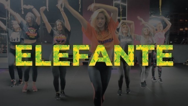 'NK - ELEFANTE Zumba Fitness Jaz Choreography Easy'