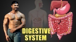 'How Digestive System Works || Nutrition Series - Venkat Fitness Trainer'