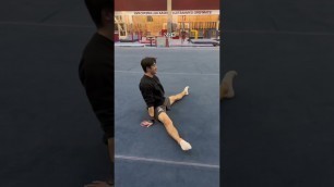 'D1 Male Gymnasts Try a Manna! 