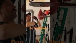 'day 2 speedbag #fitness #boxing'