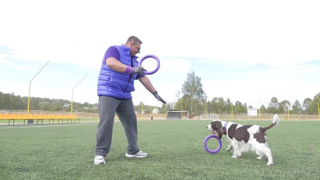 'Puller Dog Fitness Tool - Running'