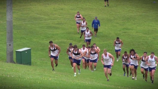 'Blues pre-season training: field-based conditioning session'