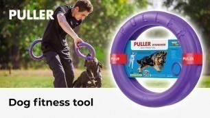 'PULLER is an innovative dog fitness tool that consists of 2 rings'