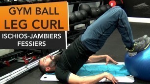 'Gym Ball LEG CURL : Un excellent exercice pour fessiers et ischios-jambiers 