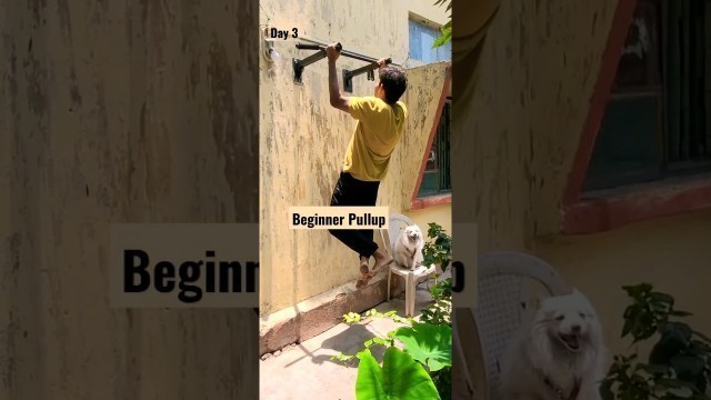 'Beginner Pullup Day 3 Subscribe to motivate #beginners #workout #health #gym #handgrip  #home #grip'