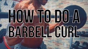 'HOW TO DO A BARBELL CURL | Koach Kore Exercise Library - SE01xEP04'