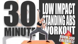 30 Minute Low Impact Standing Abs Workout 