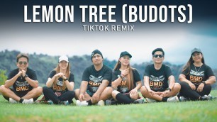 'Lemon Tree - Dj Sandy Budots Remix | Tiktok Viral 2020 | Zumba Dance Fitness | BMD Crew'