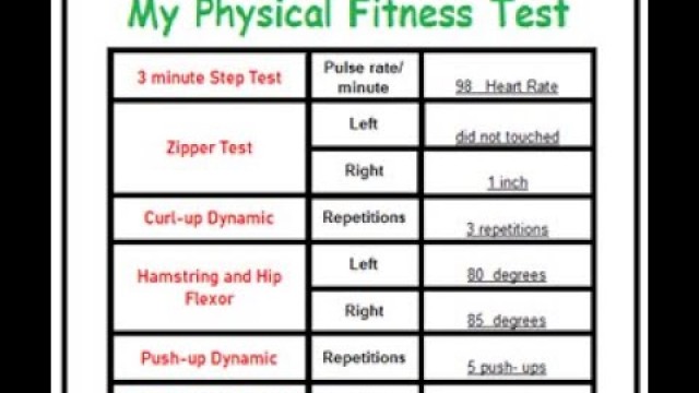 'My Physical Fitness Test (Sample)'