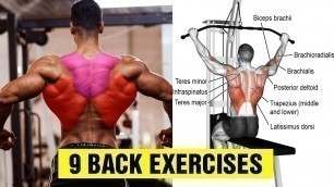 '9 Exercises To Build A Big Back - Gym Body Motivation'