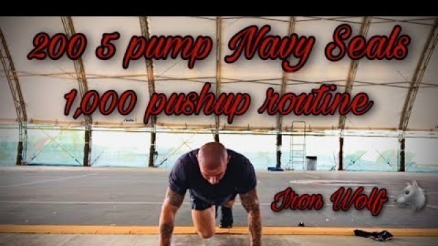 '200 5-pump Navy Seal burpees routine (1,000 pushups). Quiet Professionals. (Description below)'