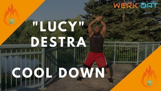 '\"Lucy\" Destra - Cooldown - Werk Dat Dance Fitness'
