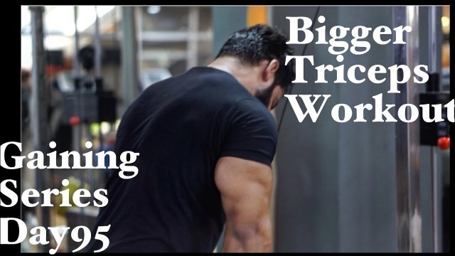 'Intense Triceps Workout|| How To Grow Sharp And Bigger Triceps||'