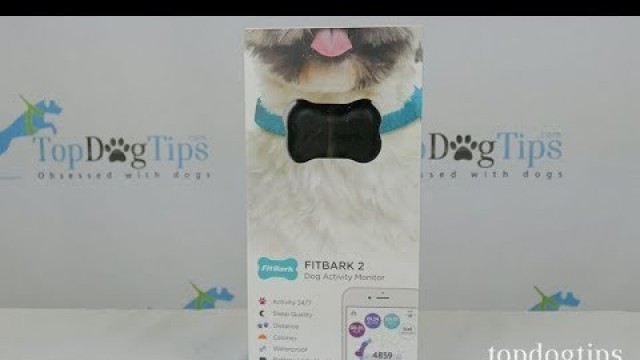 'FitBark 2 Dog Activity Monitor Review'