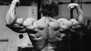 'Arnold Schwarzenegger\'s Full Back Workout For Relentless Size'