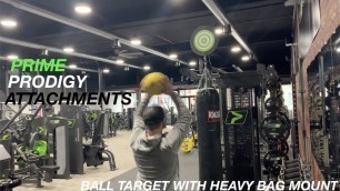 'PRIME Prodigy Attachments - Ball Target with Heavy Bag Mount'
