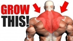 '3 Best Exercises for BIG TRAPS!'