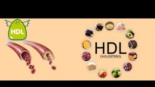 'Good HDL cholesterol foods by Indian Fitness Mantra Experts'